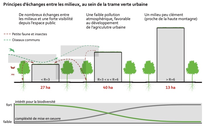 Principes d'échanges entre les milieux, au sein de la trame verte urbaine - APUR